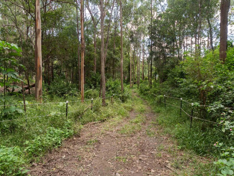 12 Clear Creek Court, Wongawallan QLD 4210