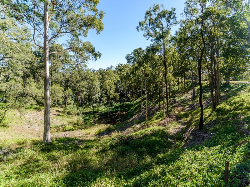 168 Brygon Creek Drive, Upper Coomera QLD 4209