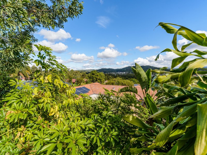 7 Guy Lane, Oxenford QLD 4210