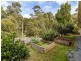 2-4 Ambon Court, Tamborine Mountain QLD 4272