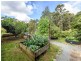 2-4 Ambon Court, Tamborine Mountain QLD 4272