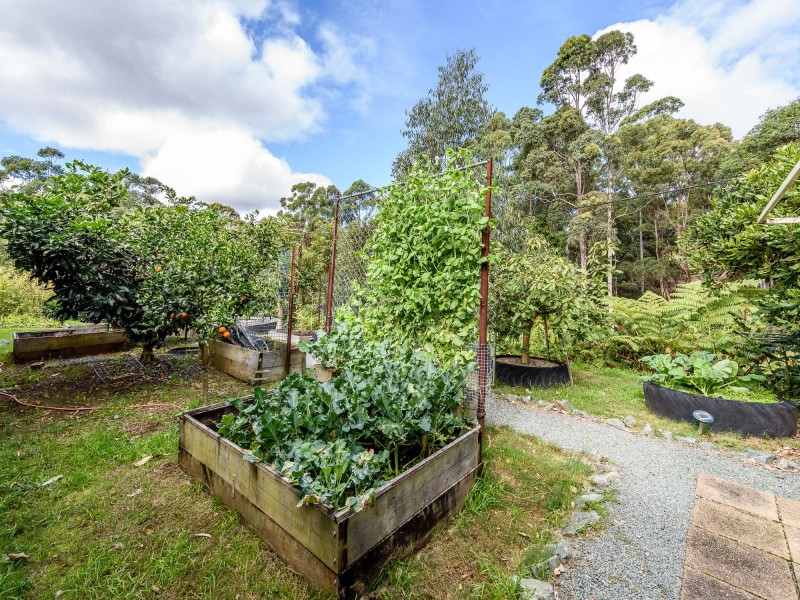 2-4 Ambon Court, Tamborine Mountain QLD 4272
