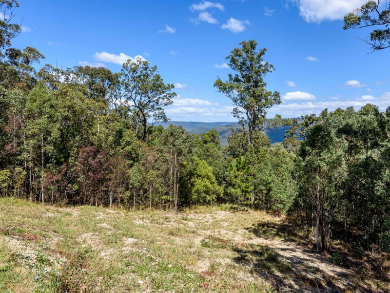 271 Wongawallan Drive, Wongawallan QLD 4210