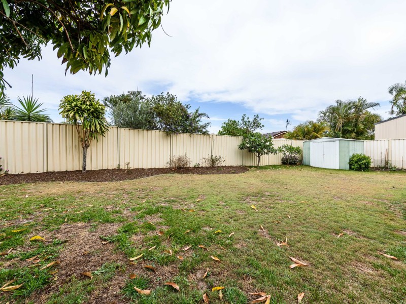 4 Pampas Court, Hollywell QLD 4216