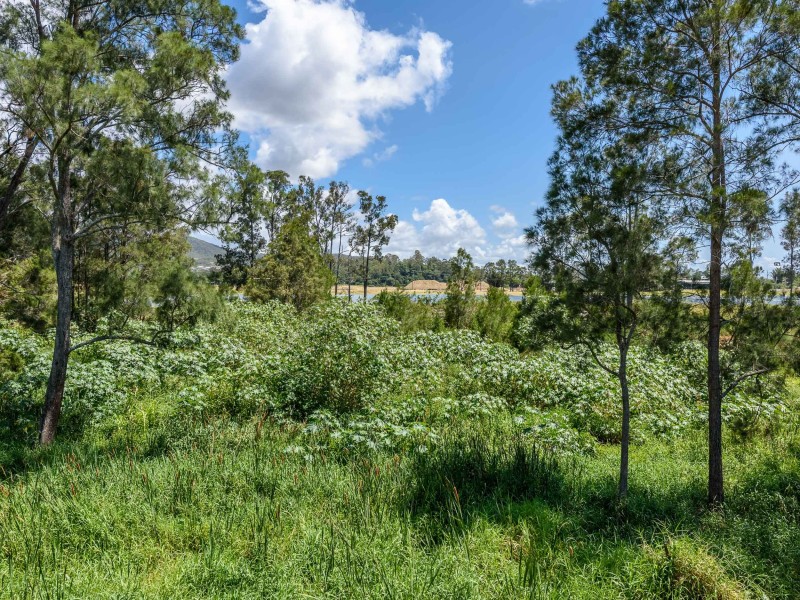 6 Silverpine Crescent, Oxenford QLD 4210