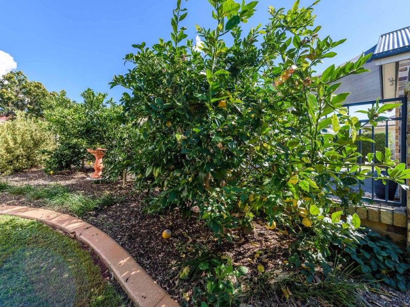 7 Siggies Place, Upper Coomera QLD 4209