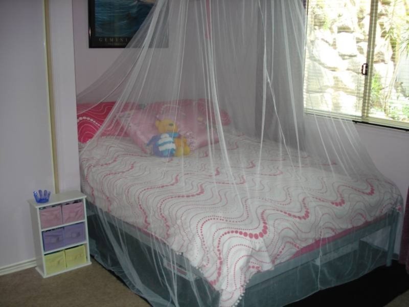 23 Amberwood Drive, Upper Coomera QLD 4209