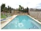 13 Phaeton Street, Upper Coomera QLD 4209