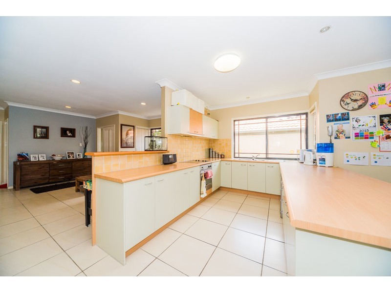 43 Vivacity Drive, Upper Coomera QLD 4209