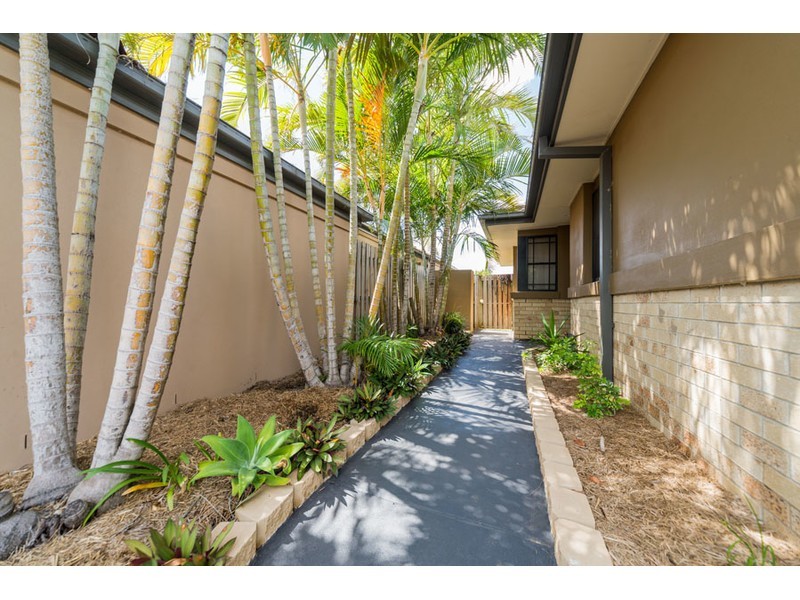 43 Vivacity Drive, Upper Coomera QLD 4209