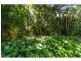 76 Baileys Mountain Road, Willow Vale QLD 4209