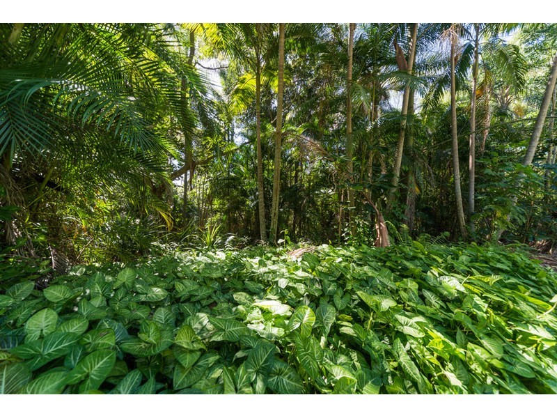 76 Baileys Mountain Road, Willow Vale QLD 4209