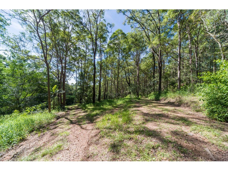 76 Baileys Mountain Road, Willow Vale QLD 4209