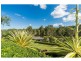 41 Burley Griffin Drive, Maudsland QLD 4210