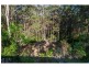 160 Wongawallan Drive, Wongawallan QLD 4210