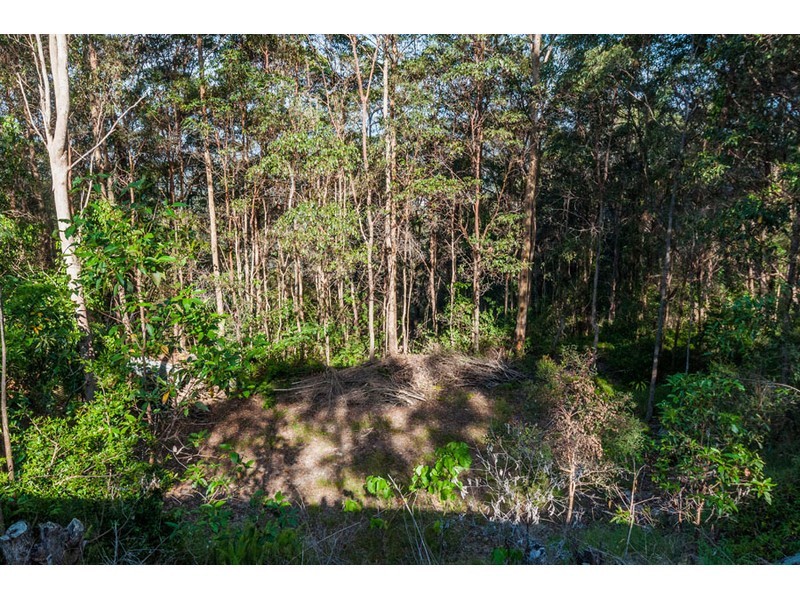 160 Wongawallan Drive, Wongawallan QLD 4210