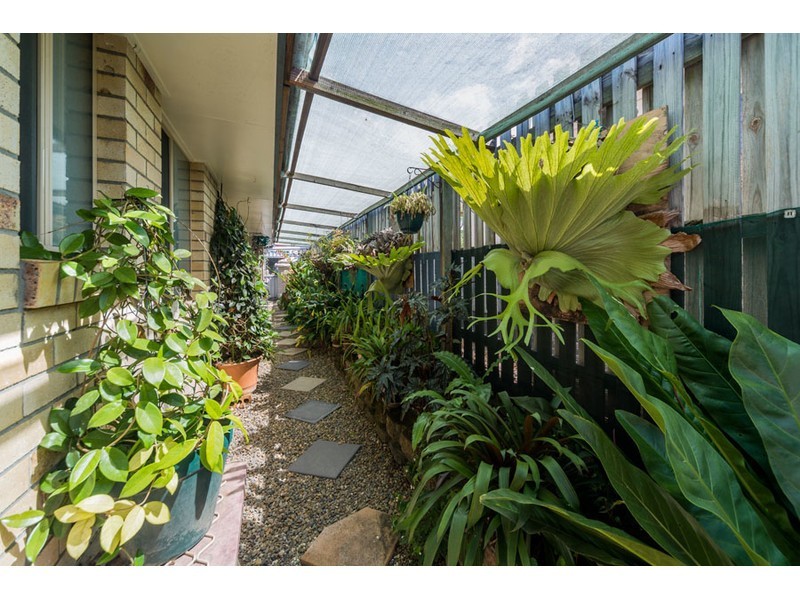 15 Barrs Avenue, Oxenford QLD 4210