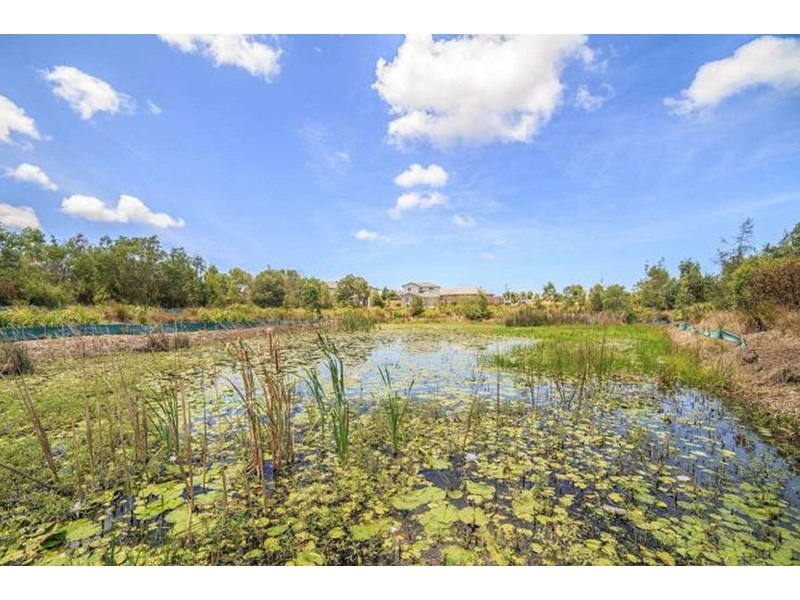 48 Carnarvon Court, Pimpama QLD 4209