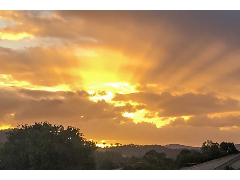 1/13 Bella Boulevard, Pimpama QLD 4209