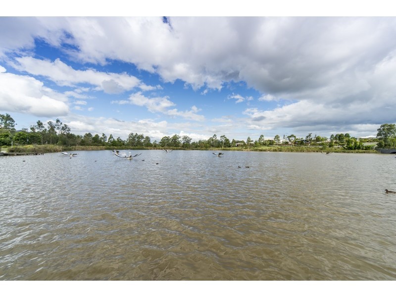 34 Rose Valley Drive, Upper Coomera QLD 4209