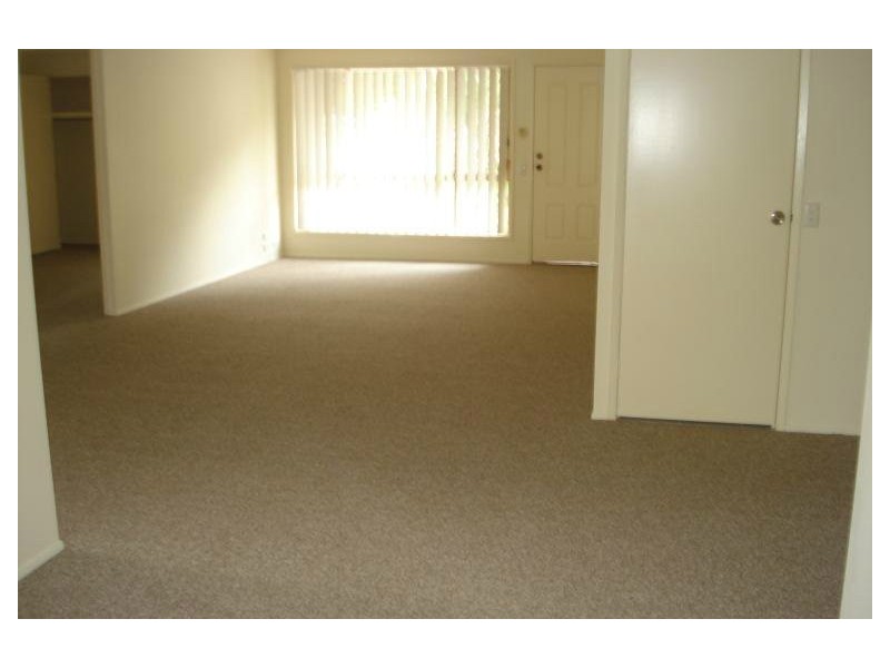 1/5 Waterbird Court, Coombabah QLD 4216