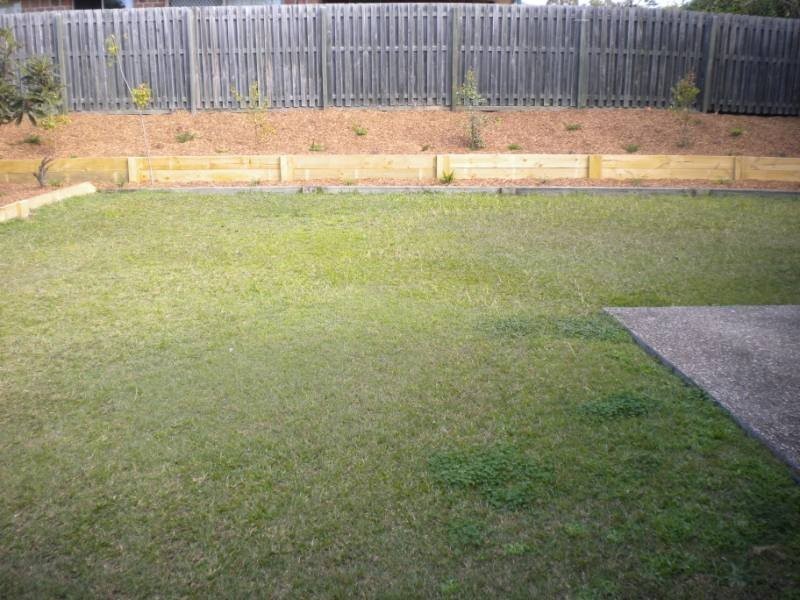 20 Roe Street, Upper Coomera QLD 4209