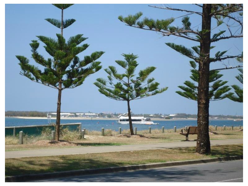 Biggera Waters QLD 4216