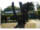 122 Muir Street, Labrador QLD 4215