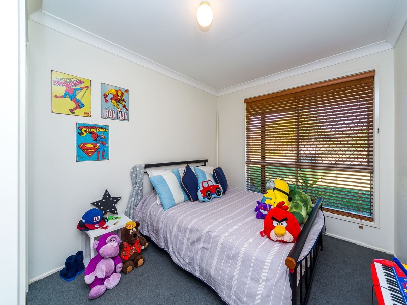 17 Kerrabee Street, Nerang QLD 4211