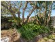 41 Bruce Avenue, Paradise Point QLD 4216