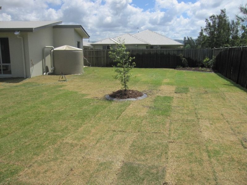 6 Lillypilly Court, Helensvale QLD 4212