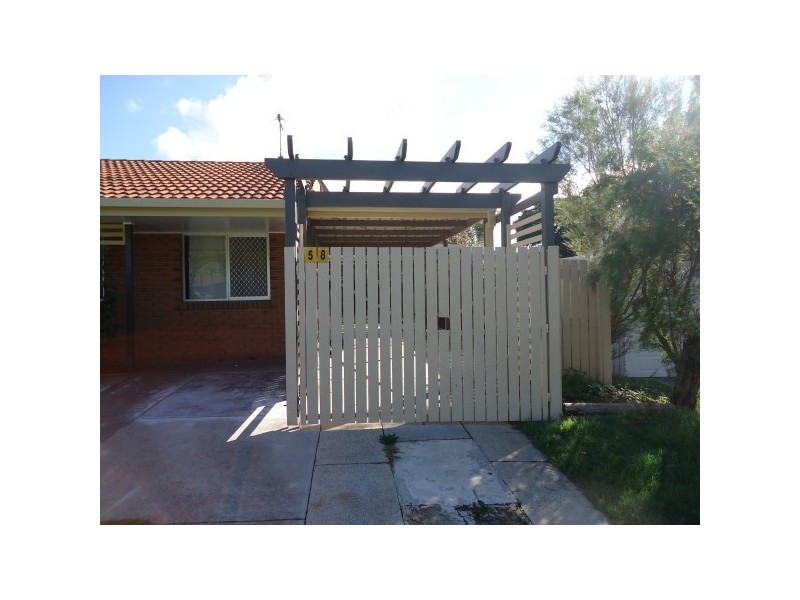 58 Panache Street, Molendinar QLD 4214