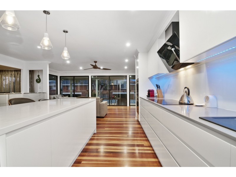 38 Scoter Avenue, Paradise Point QLD 4216