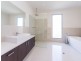 43 Bruce Avenue, Paradise Point QLD 4216