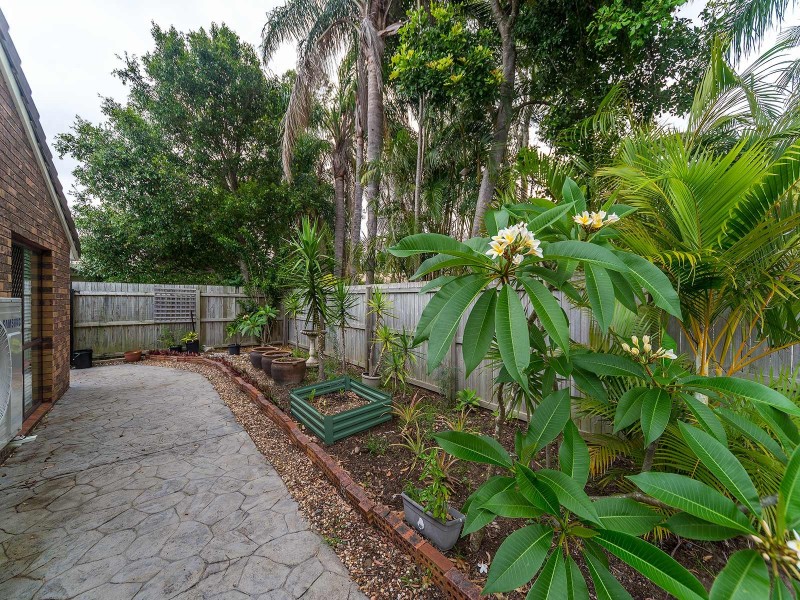 2/3 Sanctuary Court, Coombabah QLD 4216