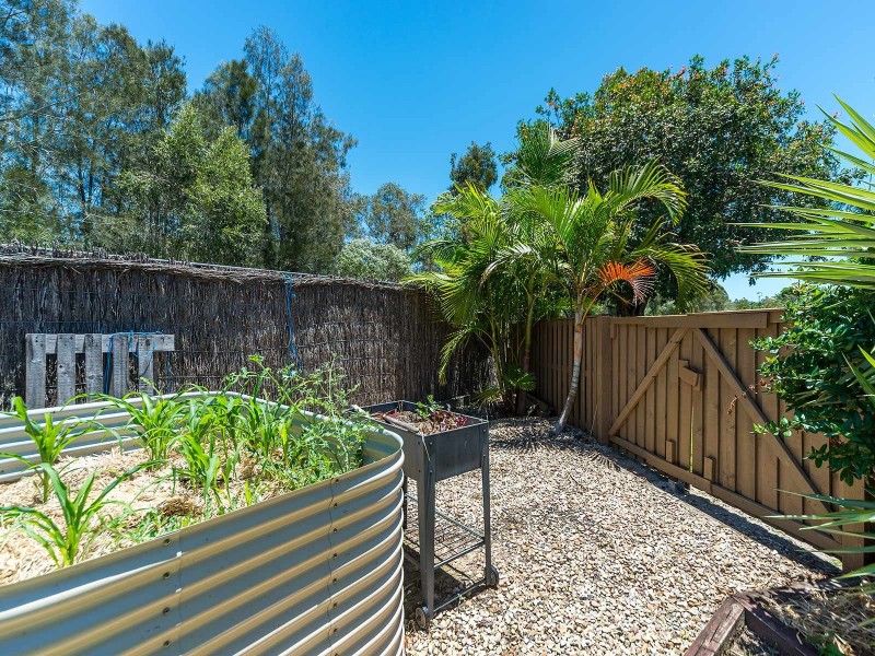 36 Myola Court, Coombabah QLD 4216