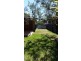 35 Salvia Street, Hollywell QLD 4216