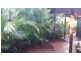 15 Western Way, Oxenford QLD 4210