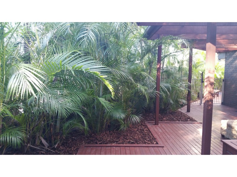 15 Western Way, Oxenford QLD 4210