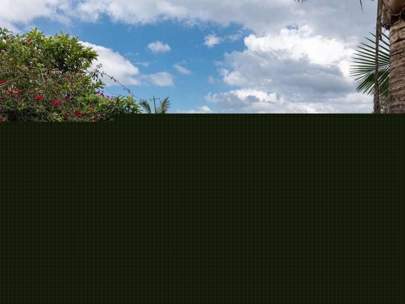 1 Greenridge Street, Oxenford QLD 4210