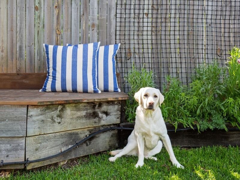 34 Errol Avenue, Paradise Point QLD 4216