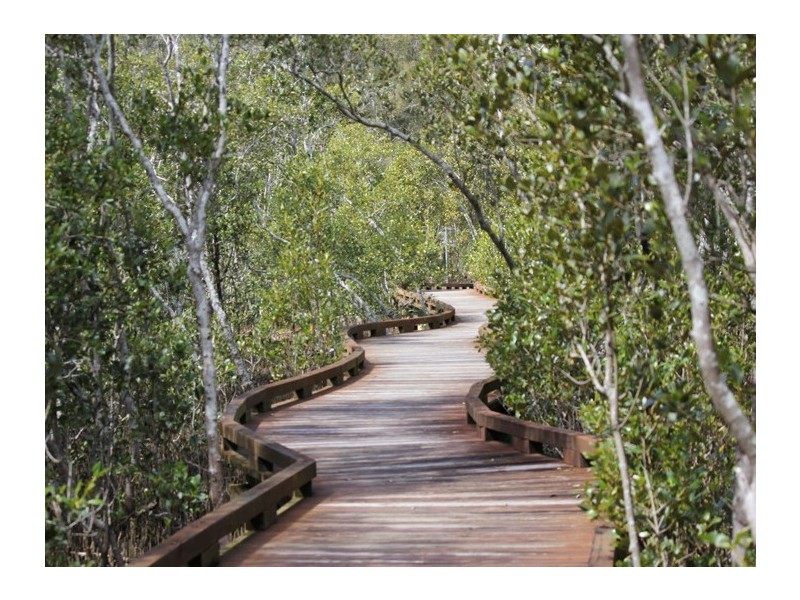 16 Tarni Street, Coombabah QLD 4216