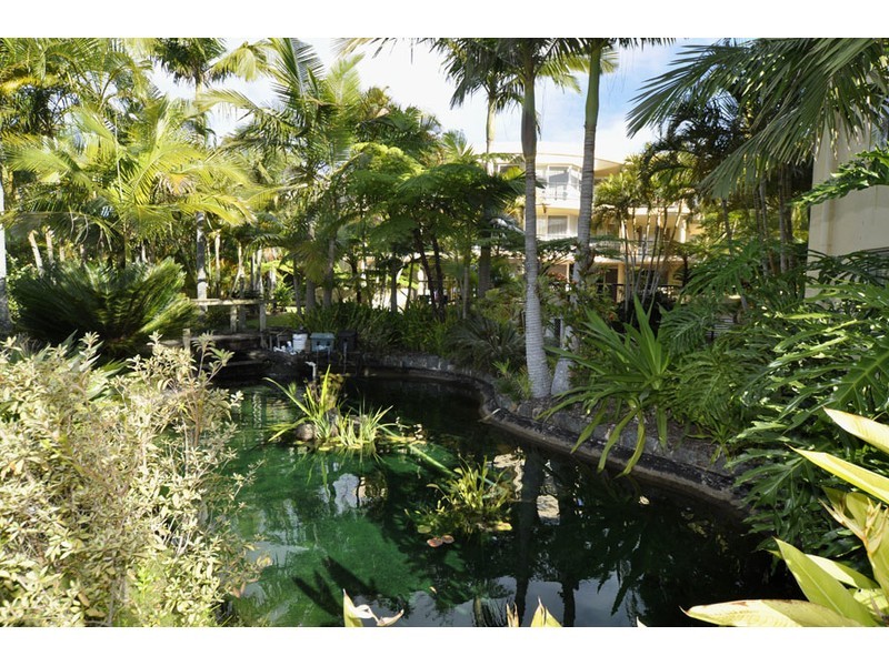 31/41a Broadwater Street, Runaway Bay QLD 4216