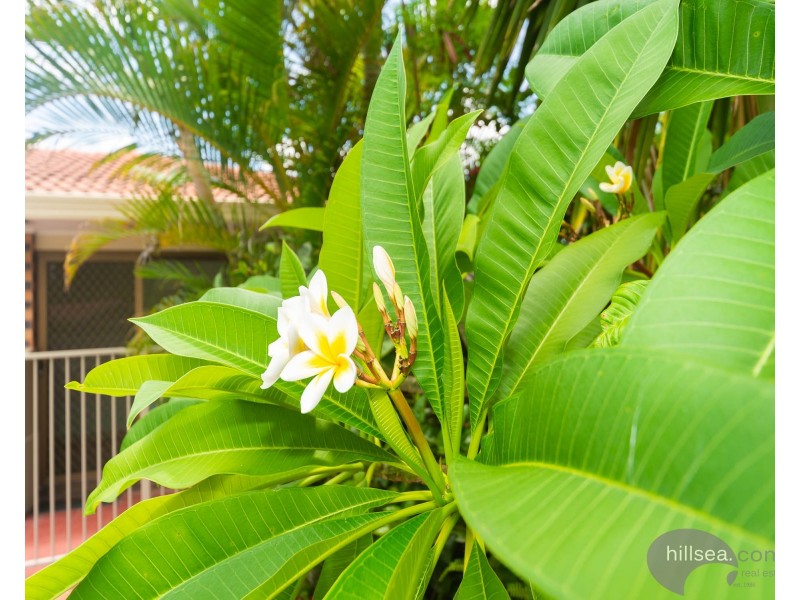 5 Picola Place, Helensvale QLD 4212