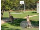 12/19 Santa Barbara Road, Hope Island QLD 4212