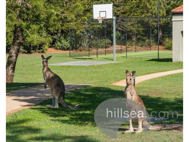 12/19 Santa Barbara Road, Hope Island QLD 4212