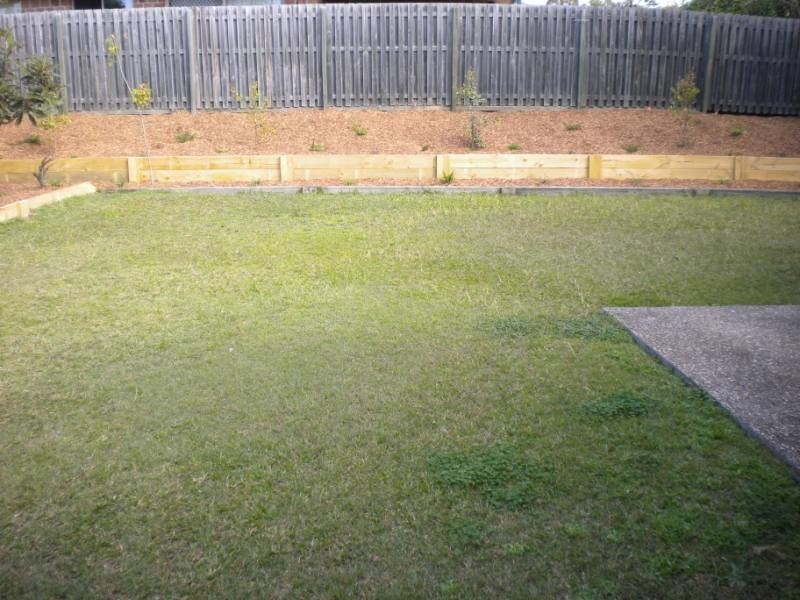 20 Roe Street, Upper Coomera QLD 4209