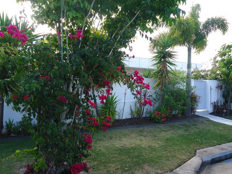 1 Trieste Court, Coombabah QLD 4216