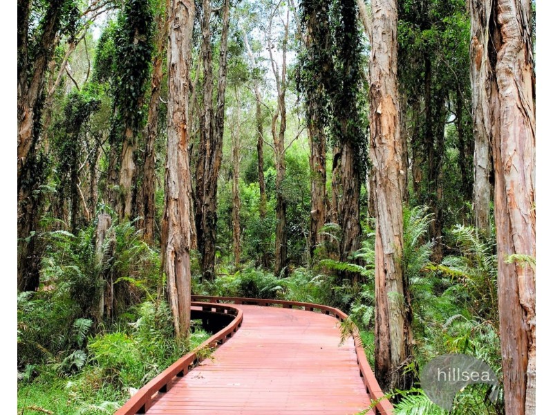 15 Hansford Road, Coombabah QLD 4216