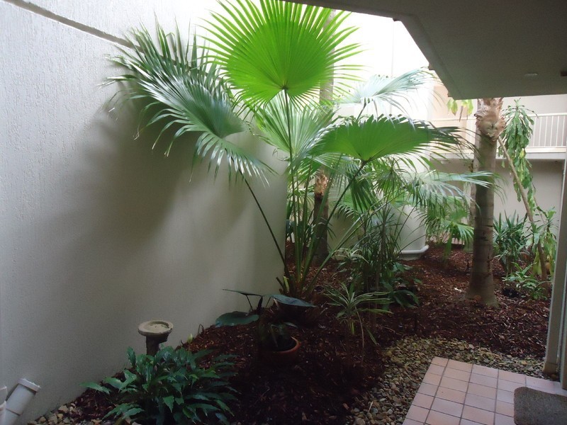 7/418 Marine Parade, Biggera Waters QLD 4216